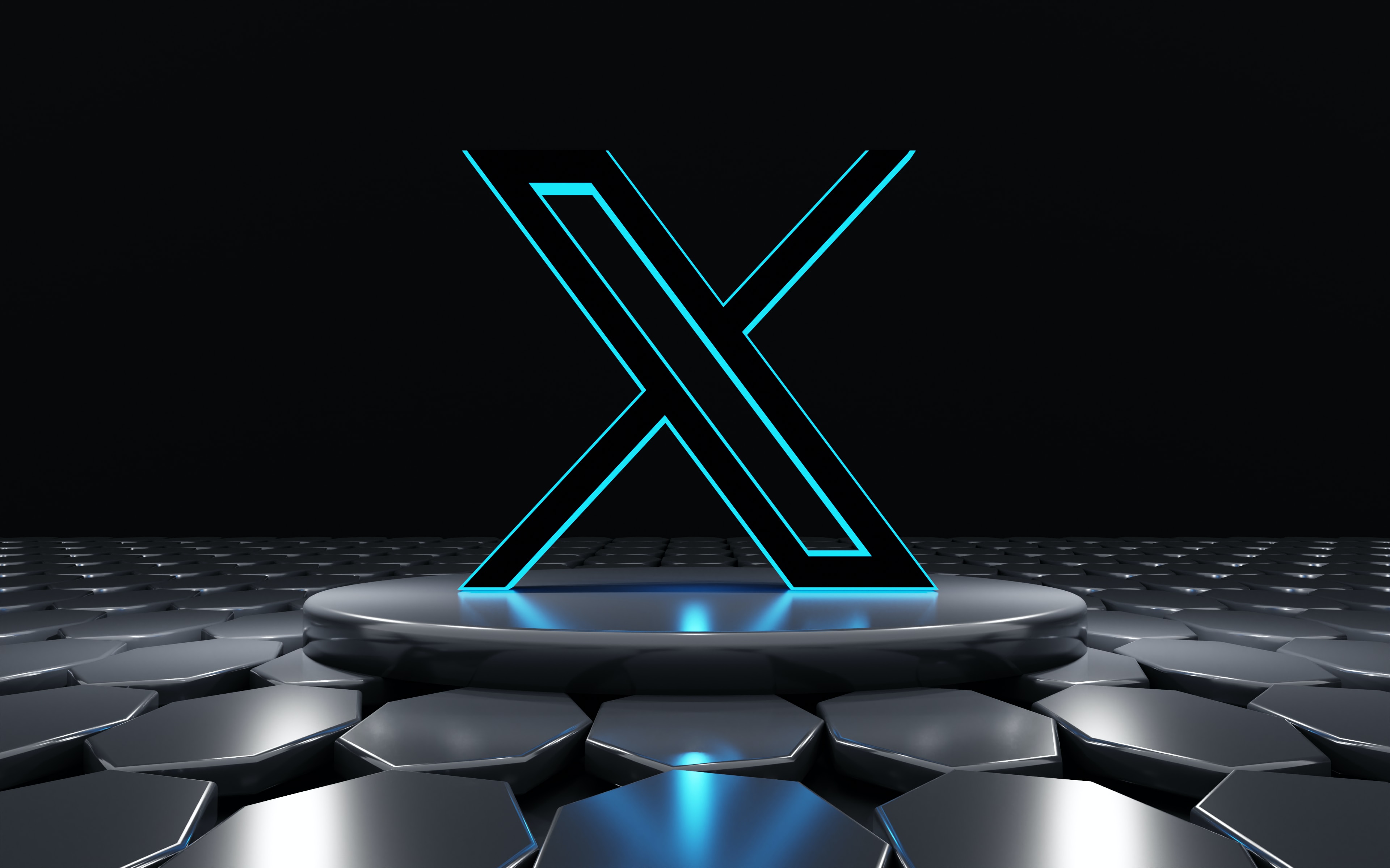 X Twitter Logo