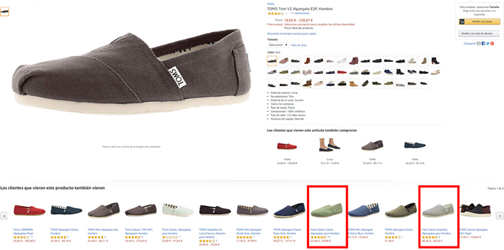 PAEZ Amazon product campaign 2