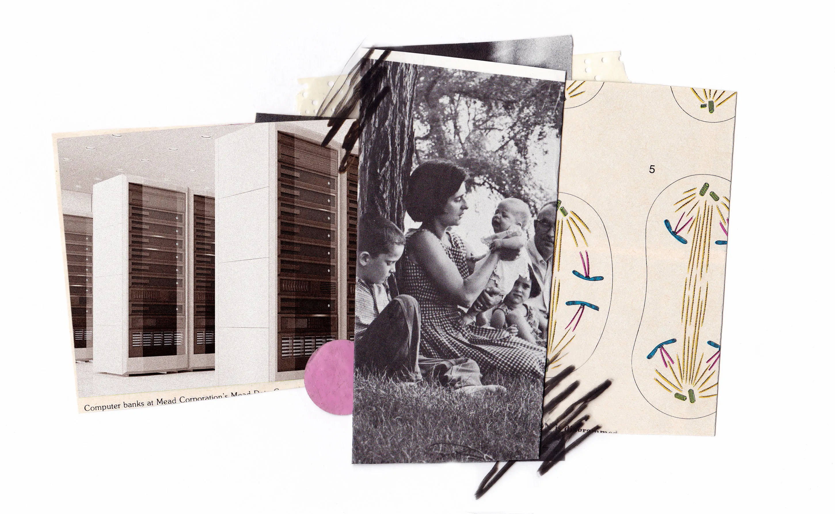 empathetic storytelling